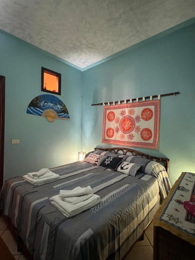 فيلا Delfino House تيراسيني المظهر الخارجي الصورة